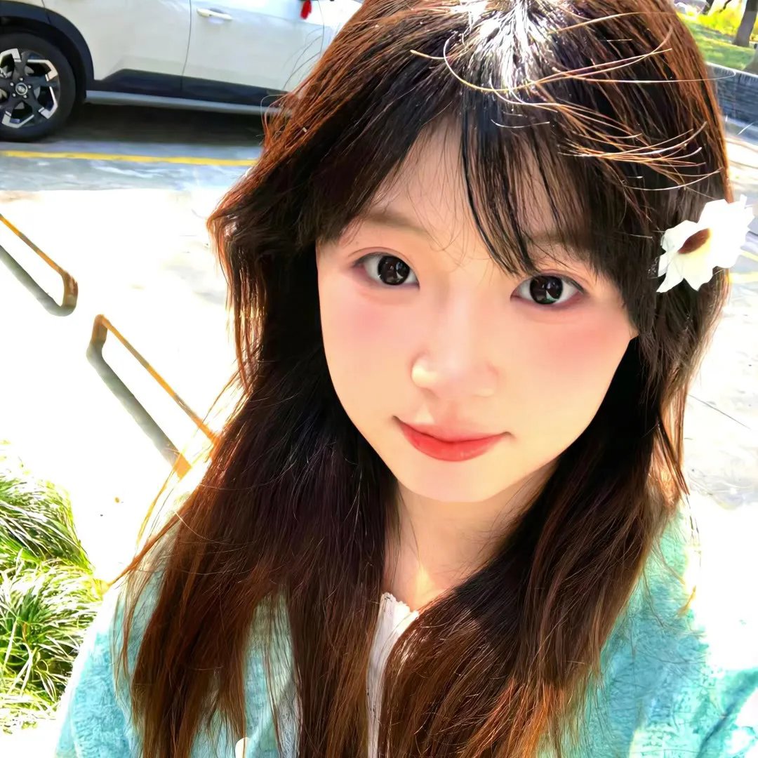 完美的独裁国家